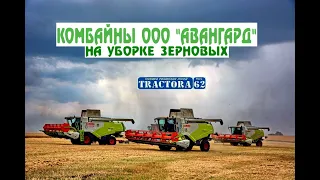 Комбайны ООО "Авангард" на уборке зерновых