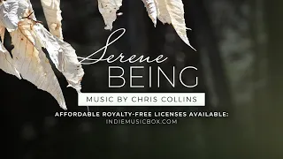 Serene Being — Soothing and Emotive Piano Music by Chris Collins