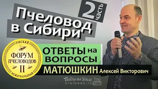 ОТВЕТЫ НА ВОПРОСЫ ПЧЕЛОВОДОВ #2 Матюшкин Алексей Пчеловодство в Сибири Пасека в тайге Форум Омск