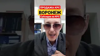 Воронеж продажа племенных нетелей. Продажа КРС в Воронежской области. #ПродажаКРС #ПлеменныеНетели