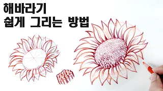 Drawing Sunflower Sketch for Beginners