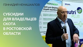 Господдержка животноводства в Ростовской области: какие субсидии могут получить владельцы скота