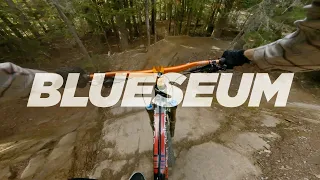 Blueseum - Whistler Bike Park - Blue Tech Trail