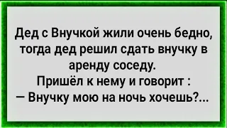 Дед Сдал Внучку в Аренду! Сборник Свежих Анекдотов! Юмор!