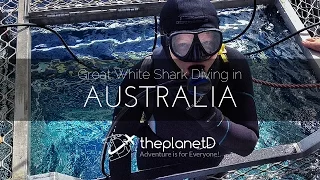 Great White Shark Cage Diving, Australia