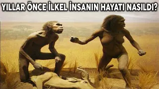 Milyarlarca Yıl Önce Yaşasaydınız, Hayatınız Nasıl Olurdu?