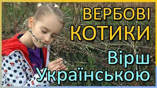 Вербові котики. Вірш українською. Розказує дівчина #shorts