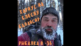 Хариус на блесну и балансир в -36! Хотел поймать щуку, а поймал "харька"!