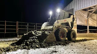 Scraping manure on a cold day! Feeding heifers and dry cows!