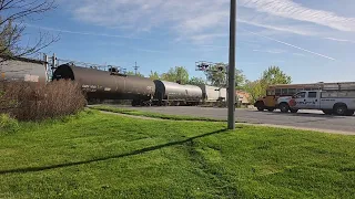 CN 421 with a Darwin Candidate, on a bike