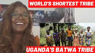 World's Shortest Tribe//Batwa Pygmies Of East Africa Uganda//Bwindi Forest #missjosey REACTION