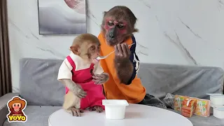 Monkey YoYo Jr goes to harvest clams and sell to visit Monkey YiYi
