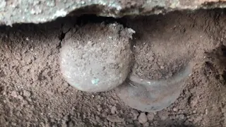 ollas encontradas con monedas dentro