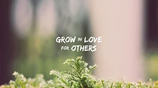 Grow in Love - Grow in Love for Others - Peter Tanchi