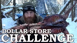 Winter Solo Survival Challenge with Minimal Tools! | Bushcraft Shelter, Spit Roast Cooking Wild Food