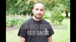 Devla so kerdzom - Pavol Tancoš (cover) 2019
