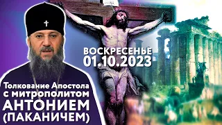 Воскресенье, 1 октября 2023 года. Толкование Апостола с митр. Антонием (Паканичем).