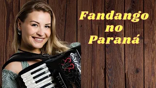 Solo de acordeon - Fandango no Paraná