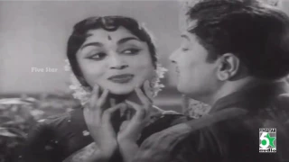 Kudumba Thalaivan Full Movie Video Songs | MGR | Saroja Devi