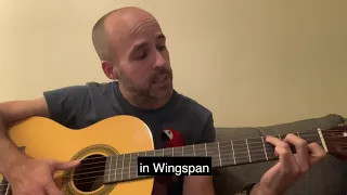 Wingspan Theme Song (Unofficial)