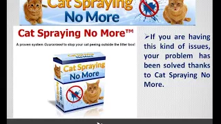 Cat Spraying In House Solutions 2015 [NEW]