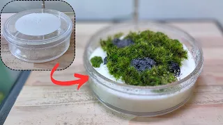 DIY Terrarium: Using recycled glass to create a mini ecosystem at home. |#terrarium 14