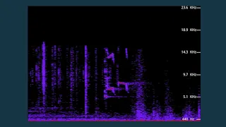 What you see when you put Disk 5 into a spectogram