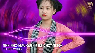 Tình Nhỏ Mau Quên Remix (TD Network) ~ Hôm Nao Hoa Phượng Nở Về Quê Ghé Thăm Nhà Em Remix Hot Tiktok