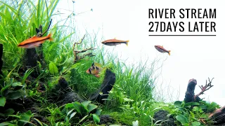 27 DAYS LATER - RIVER STREAM (UPDATE) - Relaxing video