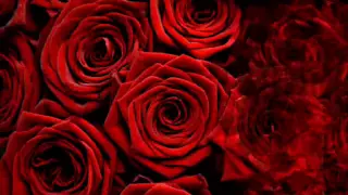 Алла Пугачева - Миллион Алых Роз_ Million of Scarlet Roses