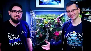 Planted Tank & Green Wall - NEW TREND? How to Build Your Own