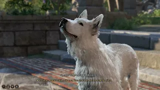 Sparky the Running Dog in Baldur's Gate 3