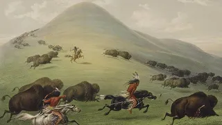 A Buffalo hunt with the Cheyenne