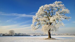 Winter season. What happens in the winter.Winter vocabulary. Talk about winter