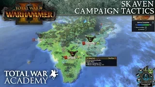 Total War: WARHAMMER 2 - Skaven Campaign Tactics - Video Tutorial