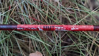 Recover More Deer with These Blood Tracking Tips