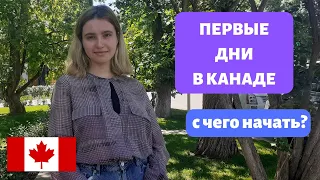 Документы в Канаде / Что нужно сделать первым делом / CUAET