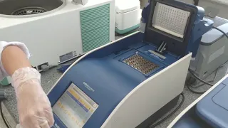 PCR, O QUE É E COMO FAZER EM LABORATÓRIO.