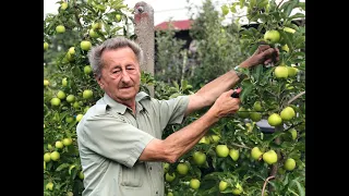 Ivan Hričovský: PRE PODPORU ÚRODY JABLONÍ A HRUŠIEK