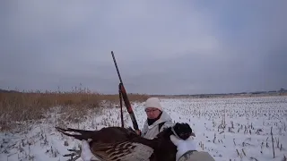Охота на фазана-4я! 22г,