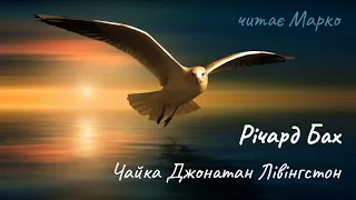 Річард Бах. Чайка Джонатан Лівінгстон. Аудіокнига українською.