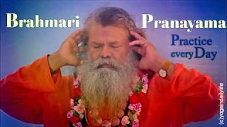 Vishwaguruji - Benefits of Brahmari Pranayama