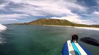 GoPro: Surfing Pig