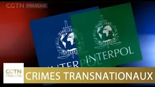 La Chine soutient Interpol dans son combat international contre le crime