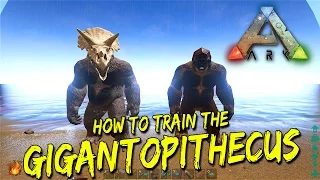 How to tame a Gigantopithecus in Ark (Bigfoot)