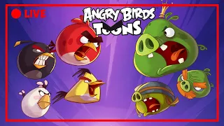 🔴 LIVE Angry Birds Party | Toons Season 2 All Episodes