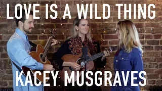 Love Is A Wild Thing | O&O feat. Martha St. Arthur (Kacey Musgraves Cover)