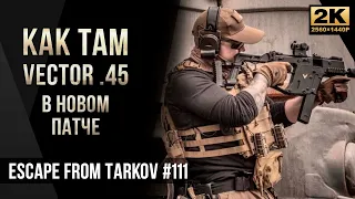 Как там Vector .45 в новом патче • Escape from Tarkov №111 [2K]