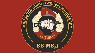 С Днем Спецназа Внутренних Войск МВД России!