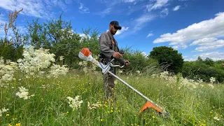 Stihl Fs 511-C cutting big grass for the first time this year with the new guard.